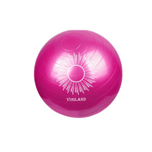 Yugland Hampool Fitnessstudio Übung Umweltfreundlich 75 cm Custom Logo Übung Yoga Ball mit Pumpe